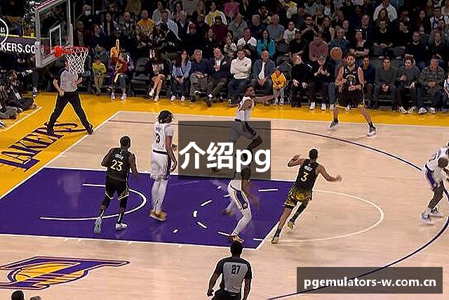 介绍pg